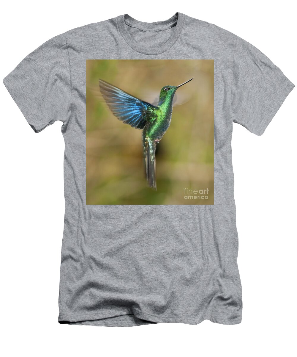 Great Sapphirewing T-Shirt featuring the photograph Great Sapphirewing Hummingbird by Dan Suzio