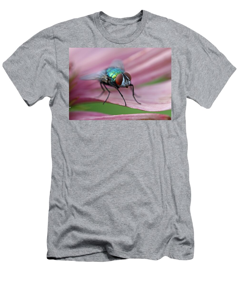 Fly T-Shirt featuring the photograph Green Bottle Fly by Juergen Roth
