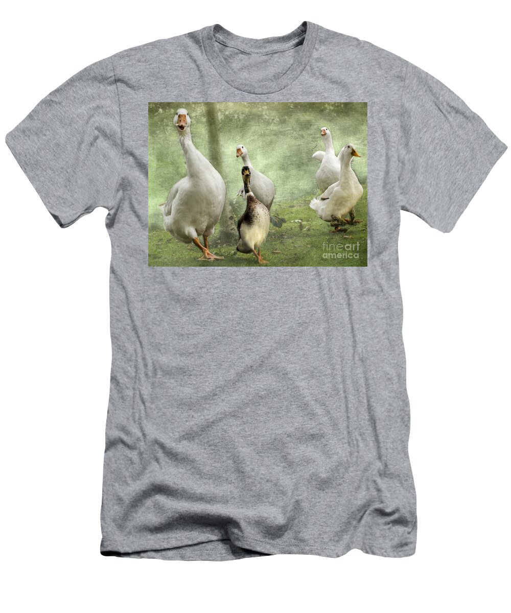 Mallard T-Shirt featuring the photograph Green With Envy by Linsey Williams