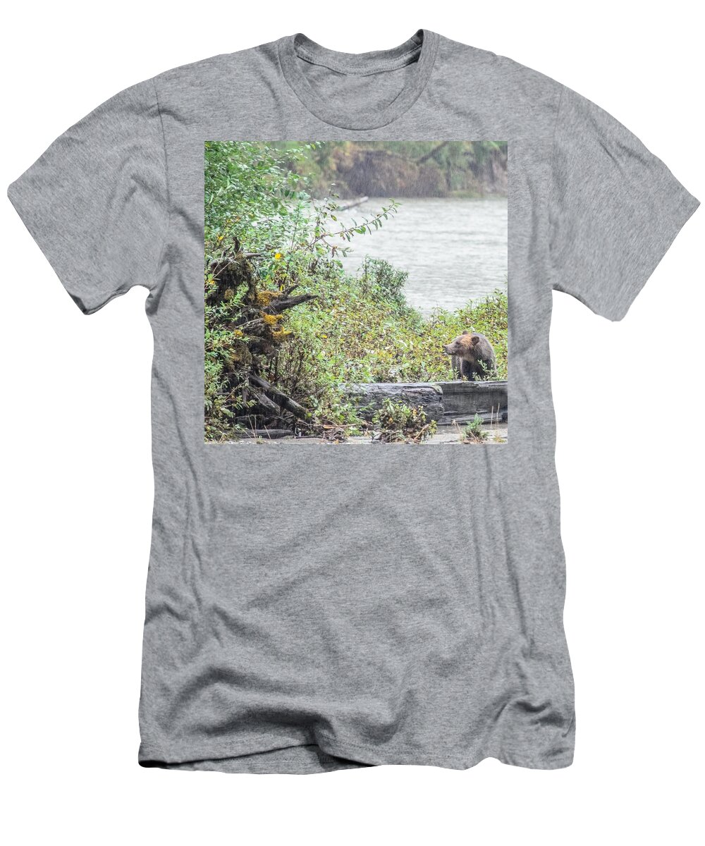 Grizzly Bear T-Shirt featuring the photograph Grizzly Bear Late September 2 by Roxy Hurtubise