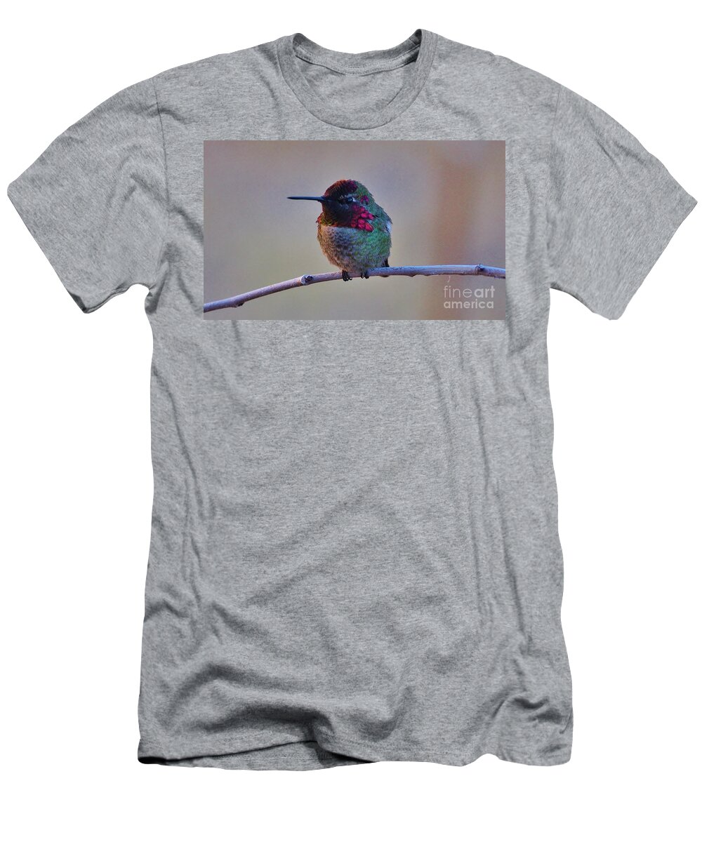 Hummingbird T-Shirt featuring the photograph Grumpy by Marcia Breznay