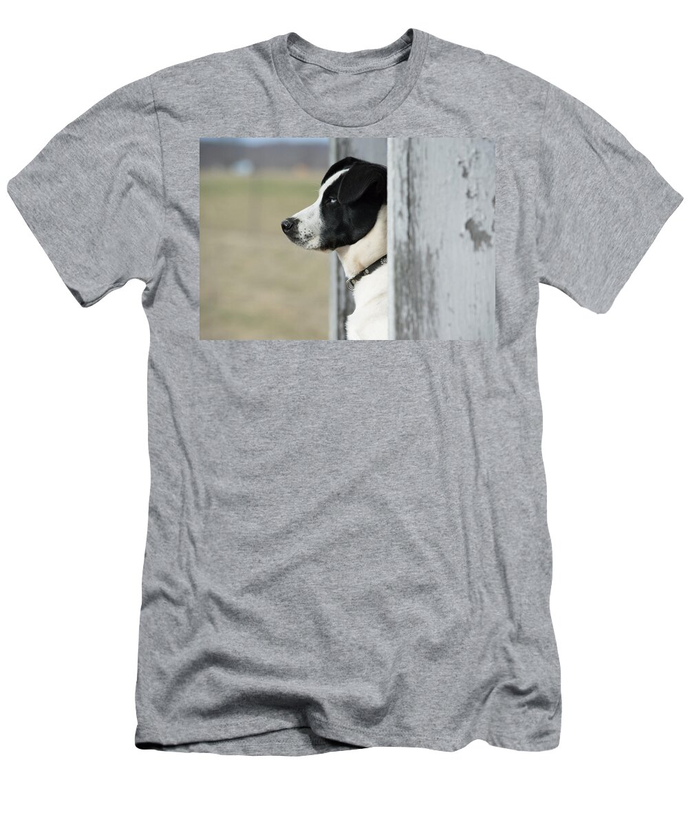 Pet T-Shirt featuring the photograph Guard Dog by Holden The Moment