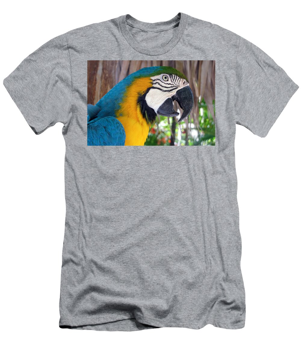 Parrot T-Shirt featuring the photograph Harvey the Parrot 2 by Bob Slitzan