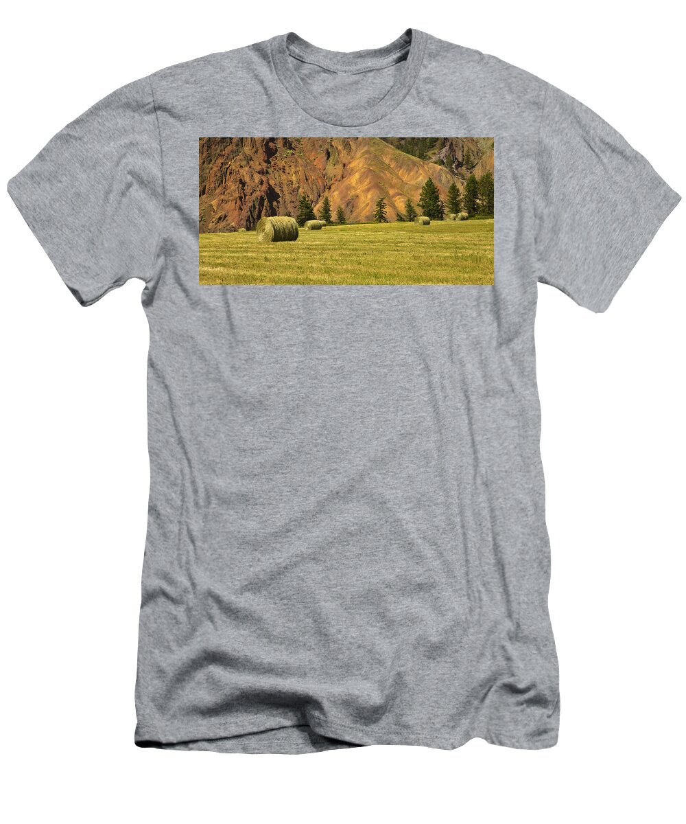 Beautiful British Columbia T-Shirt featuring the photograph Hay Rolls by Theresa Tahara