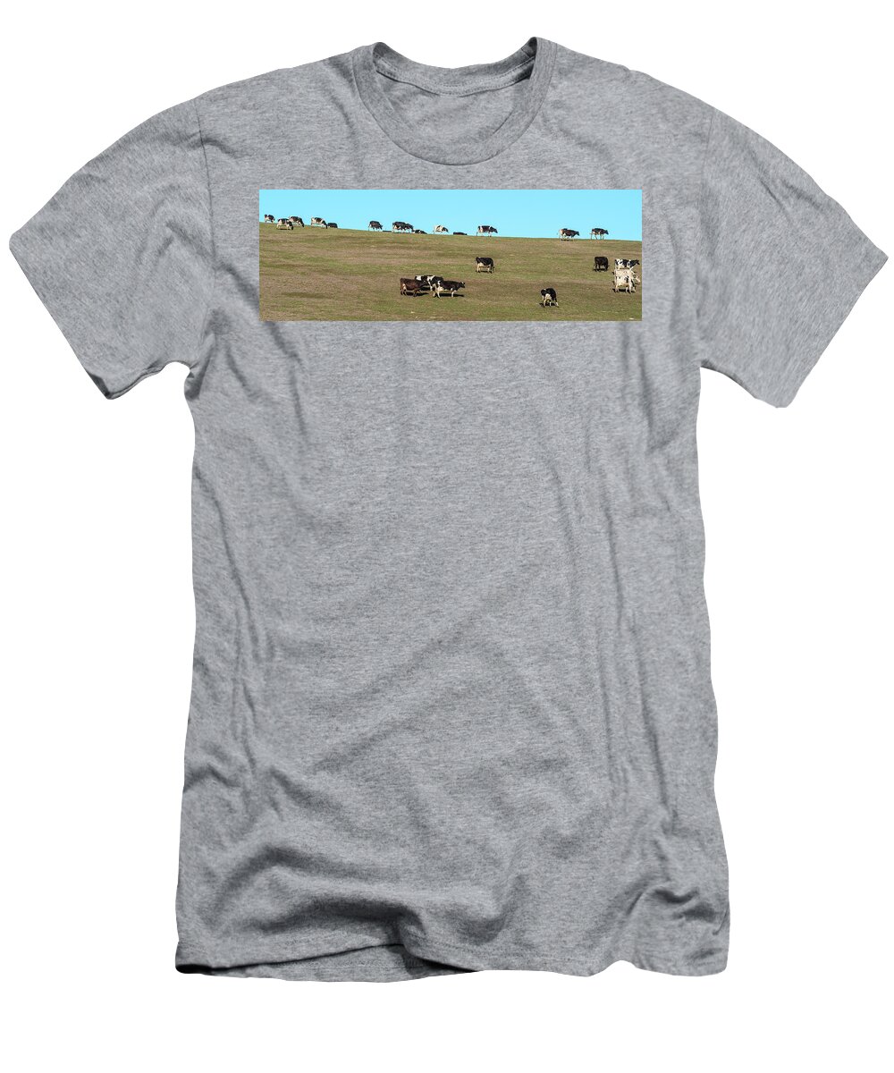 Photography T-Shirt featuring the photograph Herd Of Cows Grazing On A Hill, Point by Panoramic Images