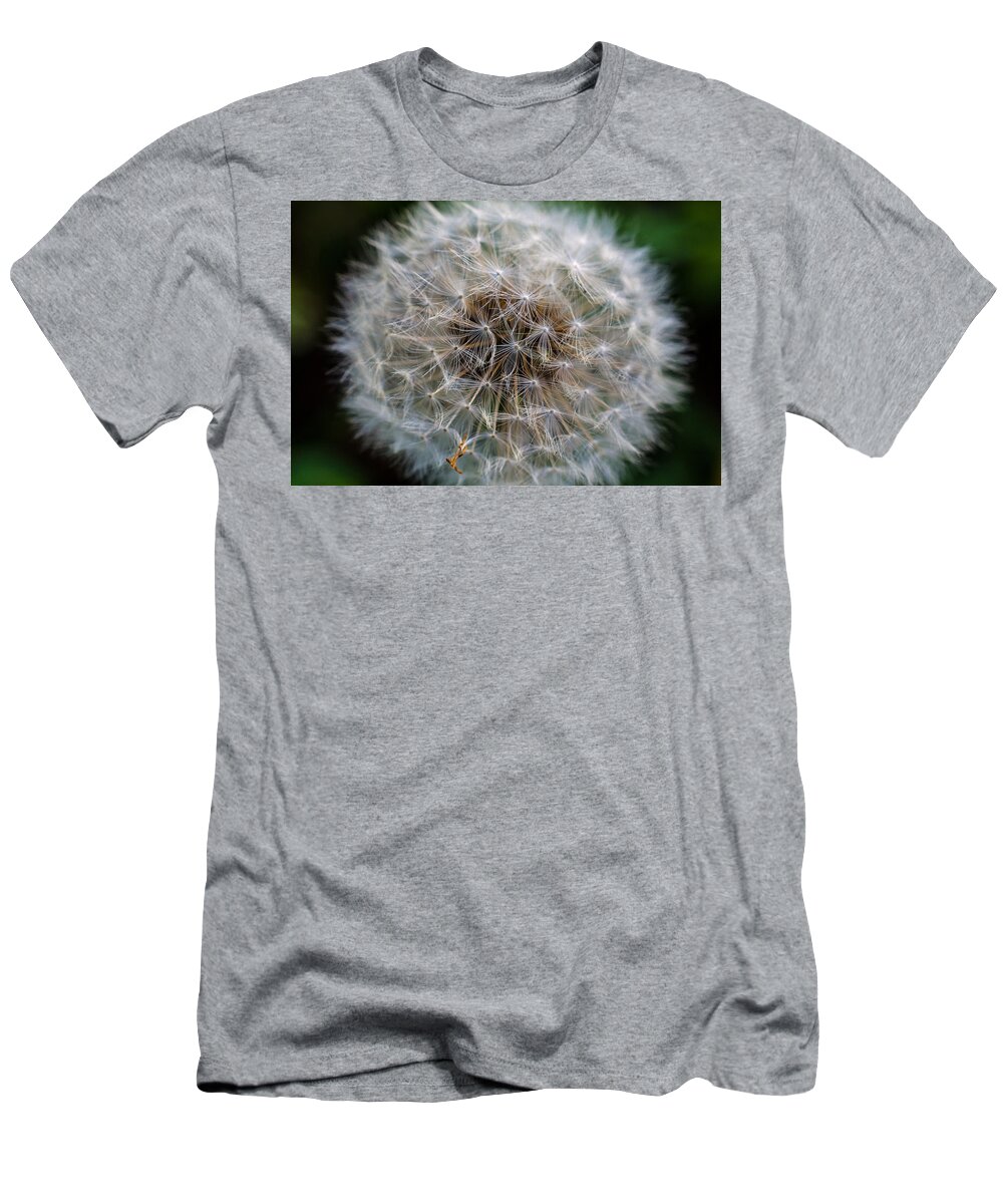 Dandelion T-Shirt featuring the photograph Hold Your Breath Make A Wish Count to Three by Jordan Blackstone