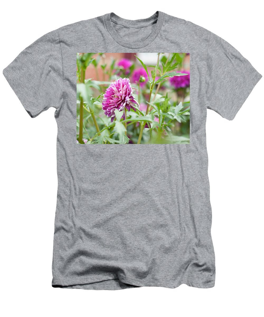 Home T-Shirt featuring the photograph Home Flower Garden by Miguel Winterpacht