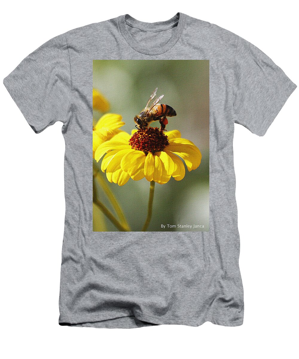 Honey Bee And Brittle Bush Flower T-Shirt featuring the photograph Honey Bee And Brittle Bush Flower by Tom Janca