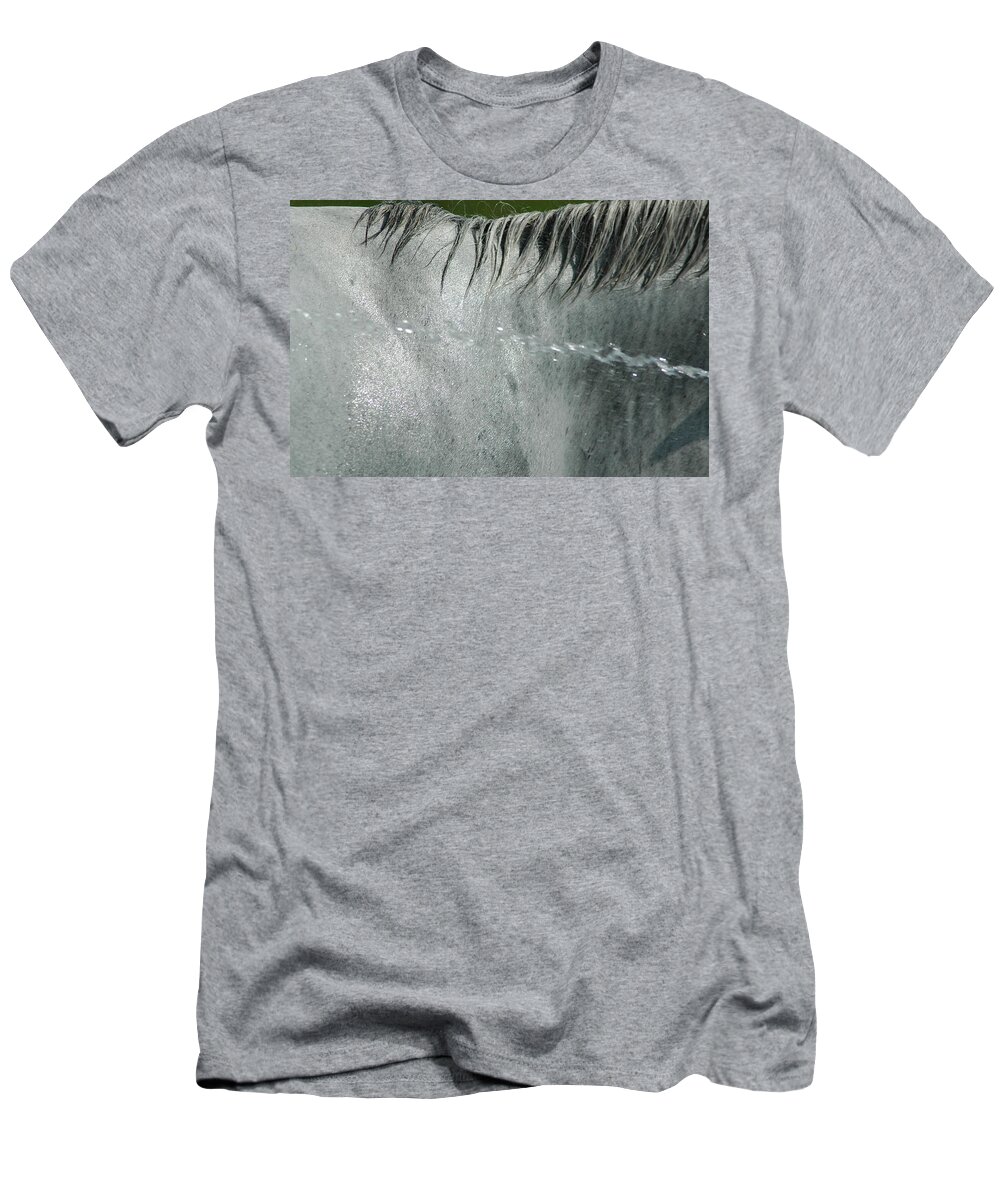 Cool T-Shirt featuring the photograph Cooling Down White Horse by Phil Cardamone