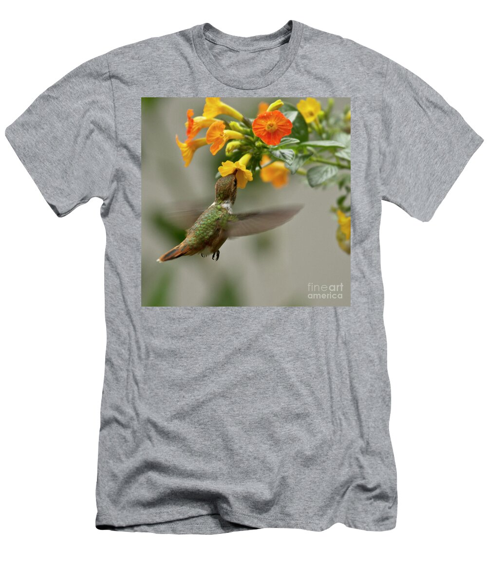 Bird T-Shirt featuring the photograph Hummingbird sips Nectar by Heiko Koehrer-Wagner
