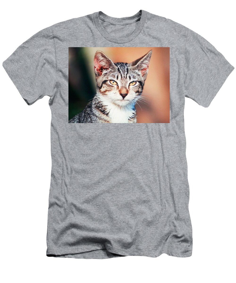 Tiger T-Shirt featuring the photograph Catitude by Belinda Lee