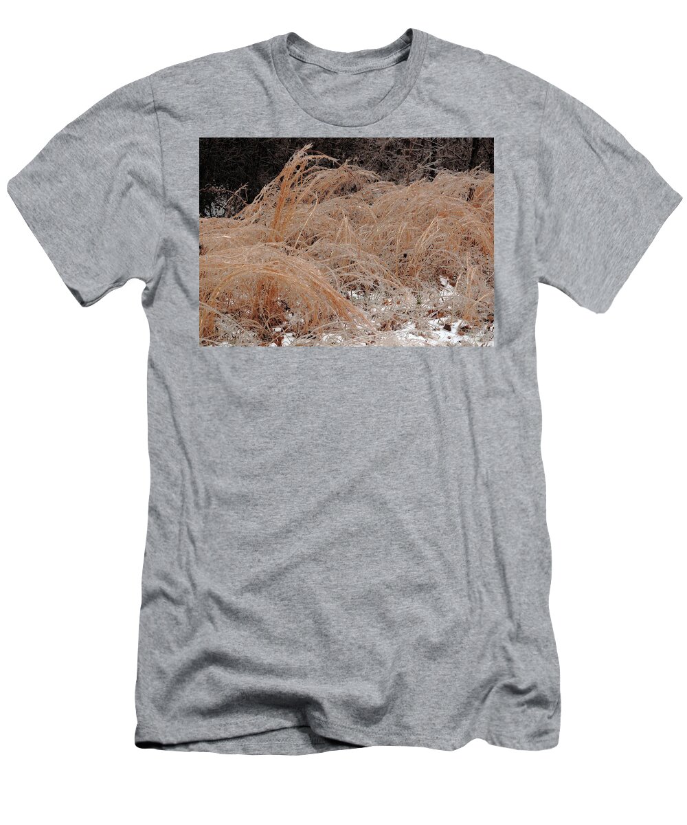 Ice T-Shirt featuring the photograph Ice And Dry Grass by Daniel Reed