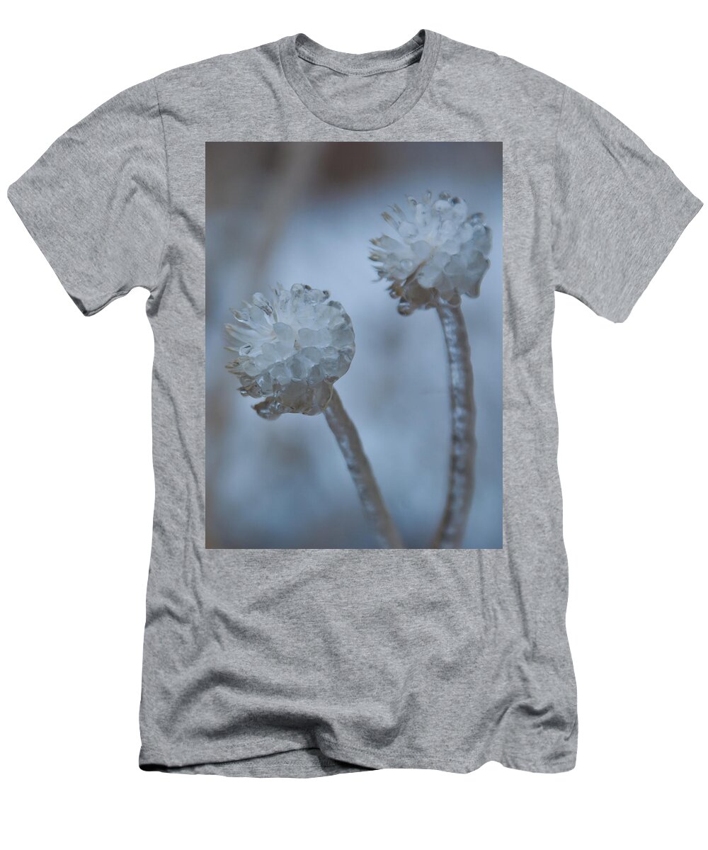 Flower T-Shirt featuring the photograph Ice-covered Winter Flowers with Blue Background by Cascade Colors