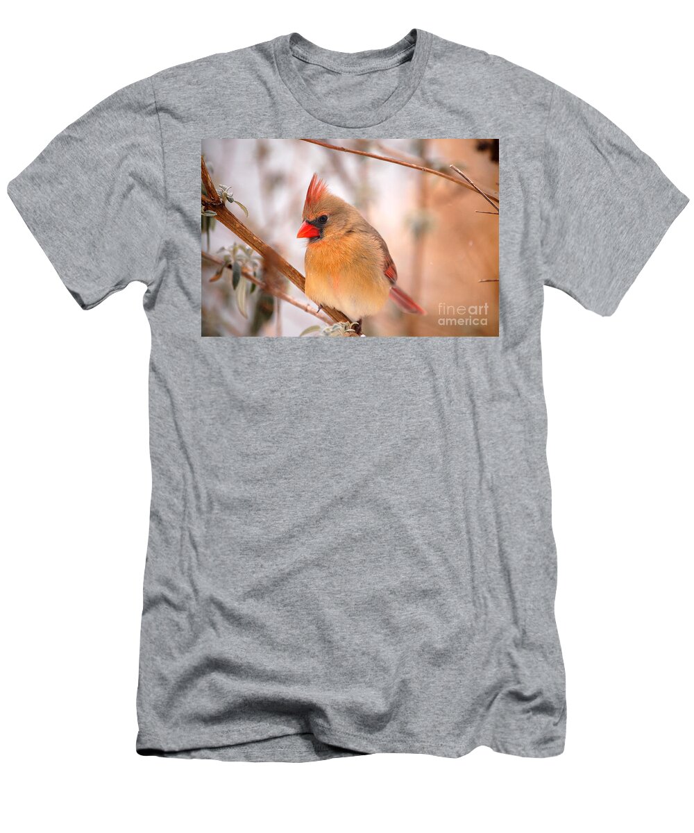 Landscape T-Shirt featuring the photograph Im Just As Pretty Female Cardinal Bird by Peggy Franz