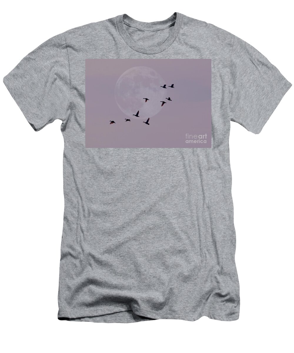 Birds T-Shirt featuring the photograph In Competition With The Moon by Kathy Baccari