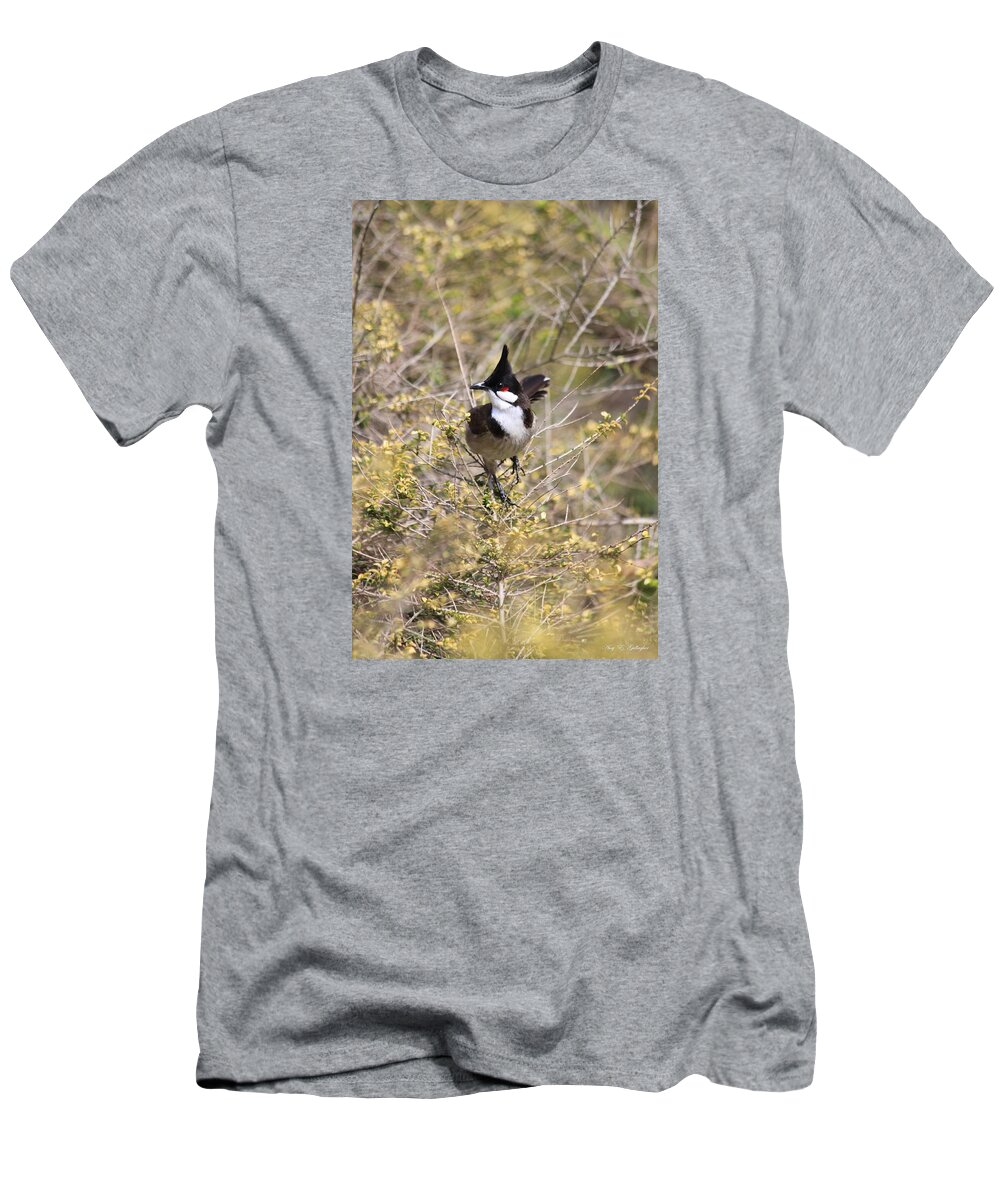Red Whiskered Bulbul T-Shirt featuring the photograph In The Moment by Amy Gallagher