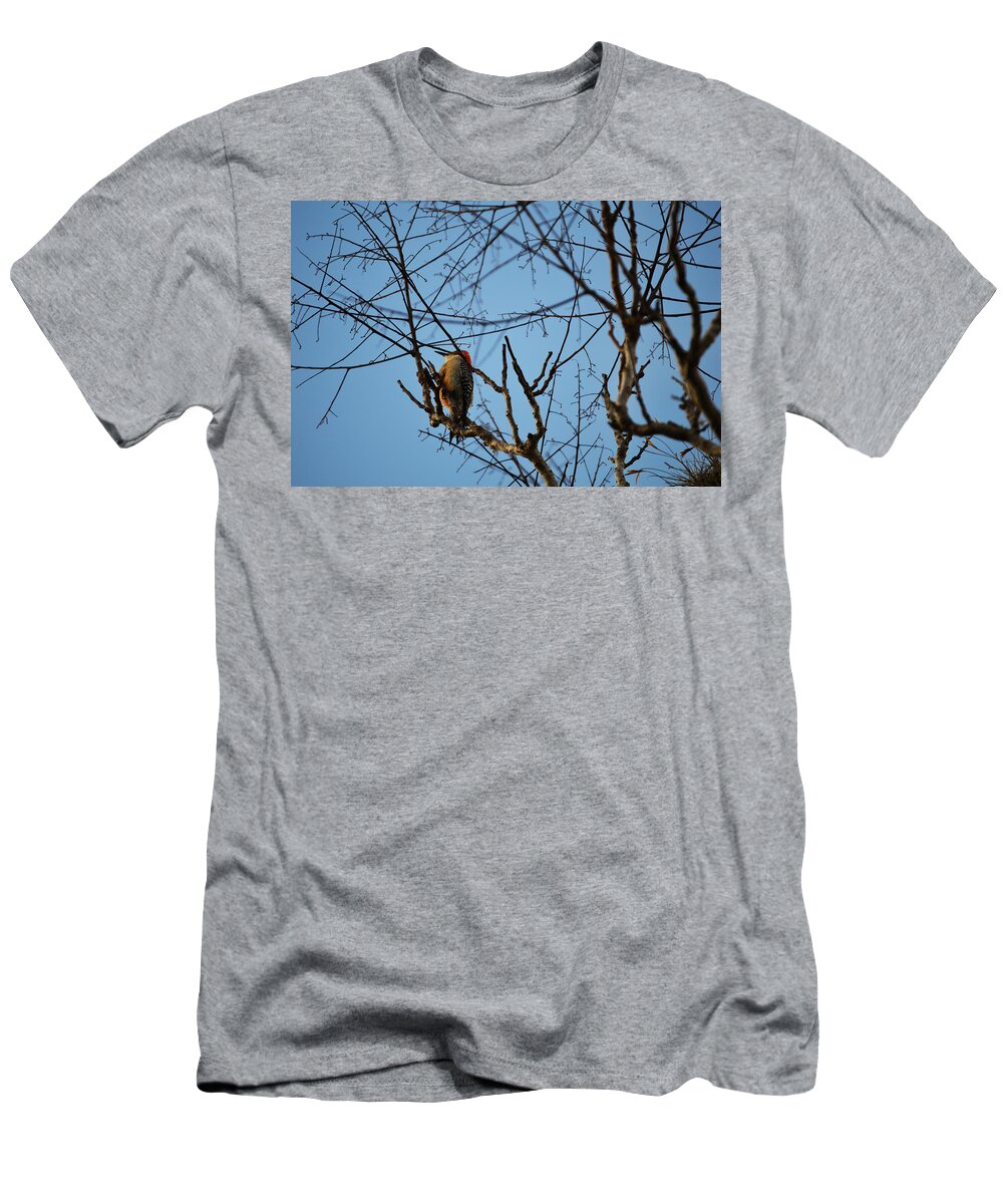 Florida T-Shirt featuring the photograph In the Trees by Linda Kerkau