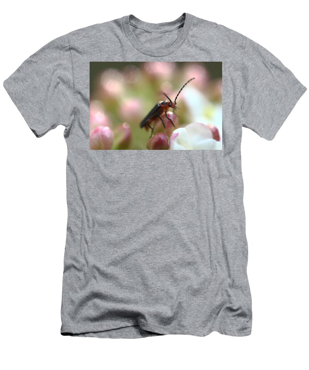 Insect T-Shirt featuring the photograph It's A Bugs World by Michael Eingle