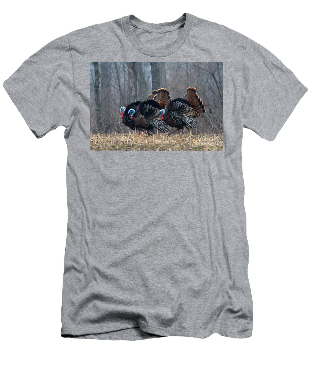 Eastern Wild Turkey T-Shirt featuring the photograph Jake Eastern Wild Turkeys by Linda Freshwaters Arndt