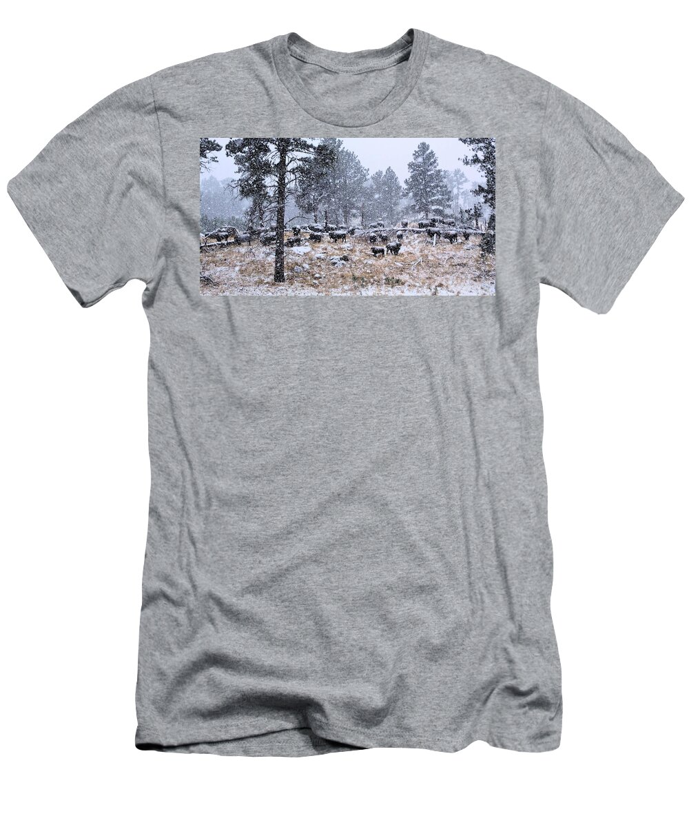 Bison T-Shirt featuring the photograph January Snow by Donald J Gray