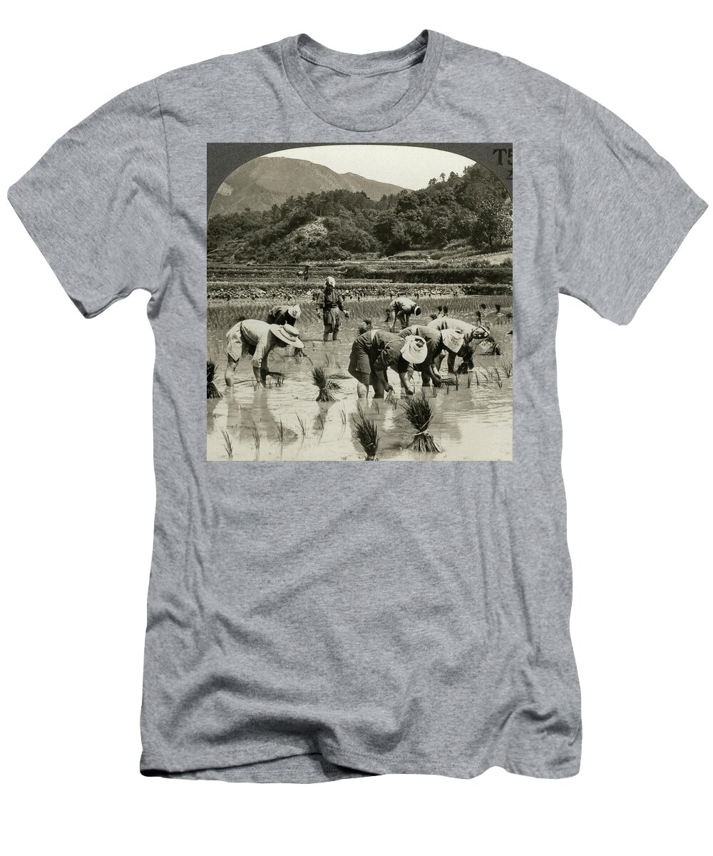 1920 T-Shirt featuring the photograph Japan Agriculture, C1920 by Granger