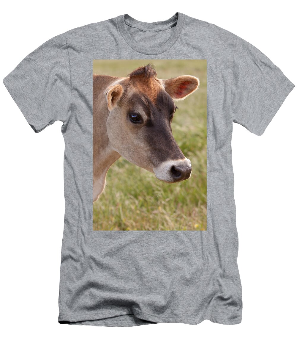Jersey T-Shirt featuring the photograph Jersey Cow Portrait by Michelle Wrighton