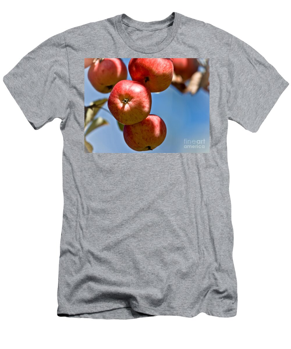  T-Shirt featuring the photograph Juicy Harvest by Cheryl Baxter