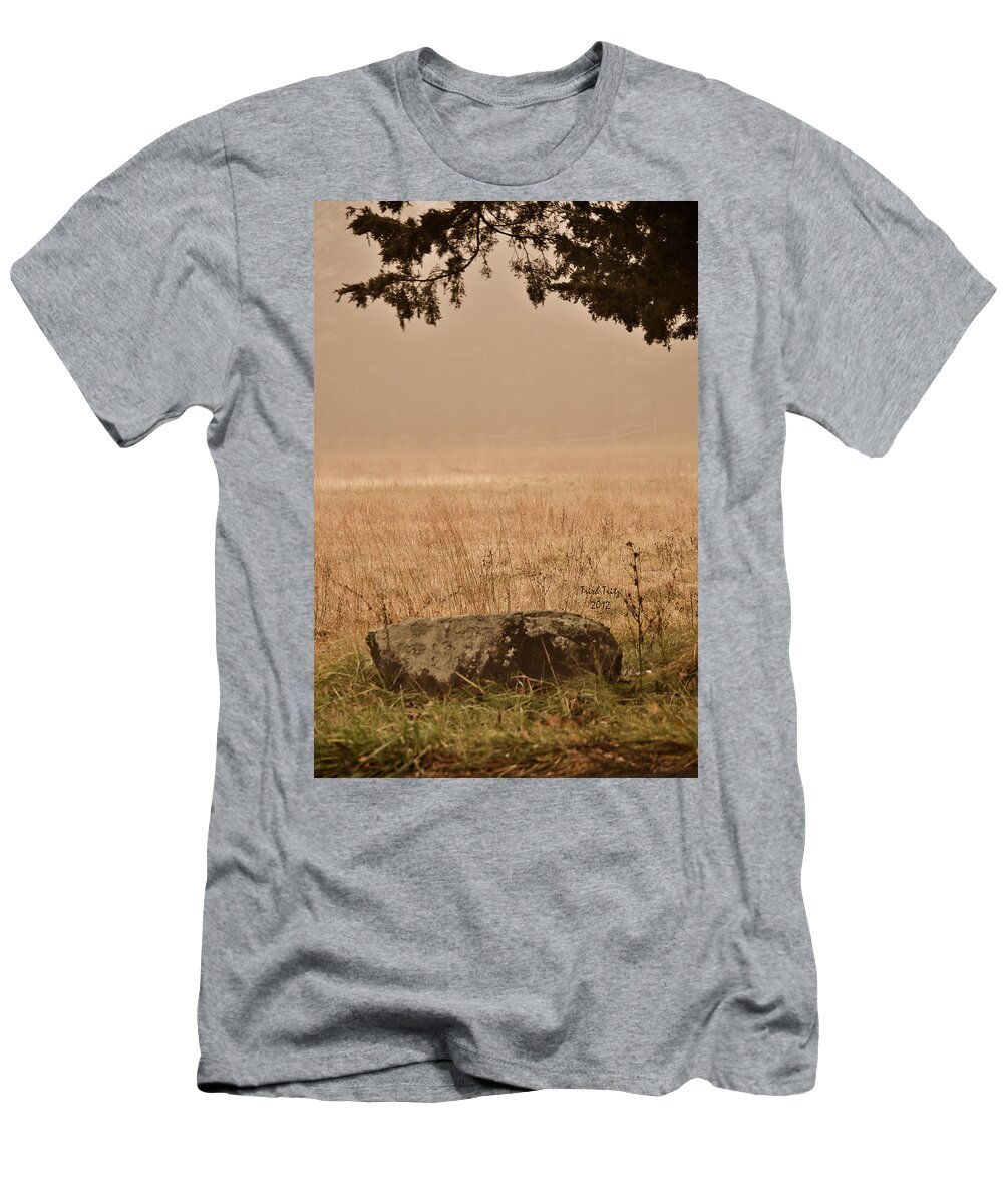 Green Lane T-Shirt featuring the photograph Just A Rock by Trish Tritz