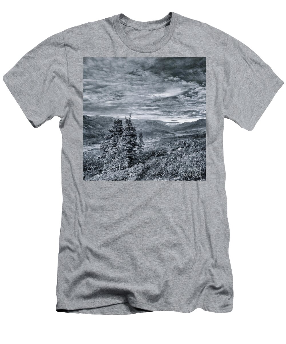 Tree T-Shirt featuring the photograph Land Shapes 18 by Priska Wettstein