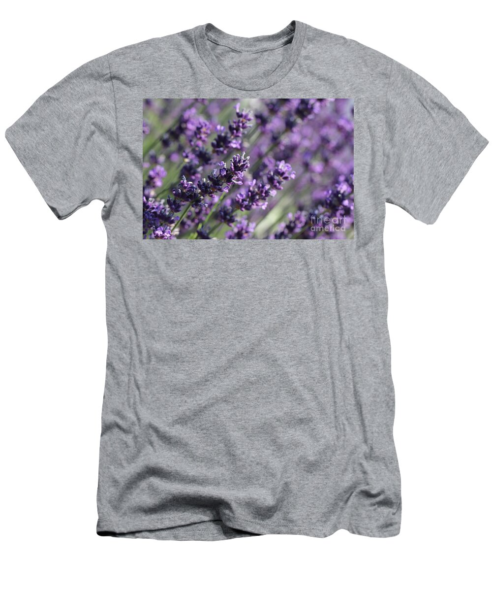 Closeup T-Shirt featuring the photograph Lavender by Amanda Mohler