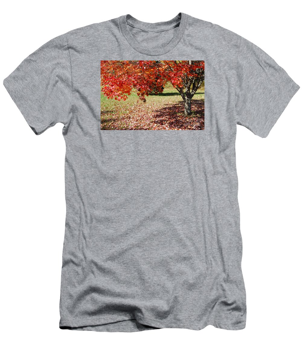 Maple Tree T-Shirt featuring the photograph Leaves Are Falling by Eunice Miller