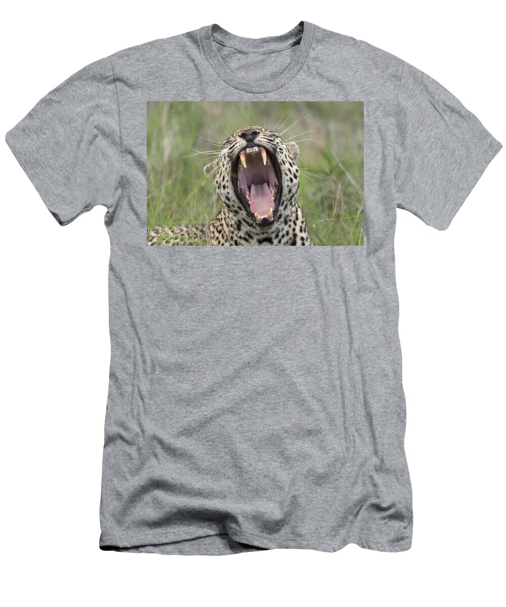 Sergey Gorshkov T-Shirt featuring the photograph Leopard Yawning Sabi-sands Game Reserve by Sergey Gorshkov