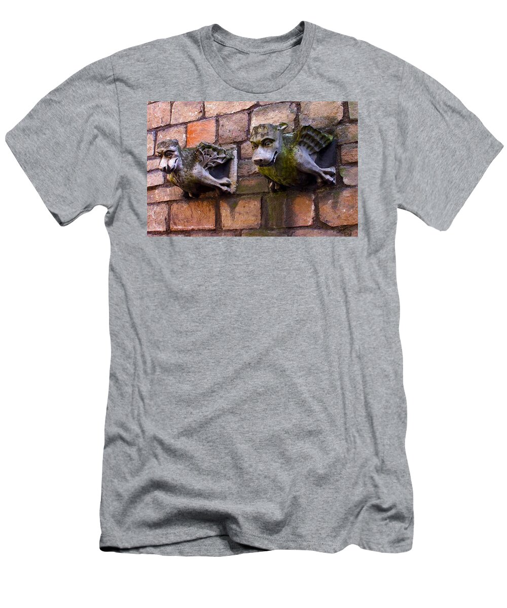 Gargoyle Pair T-Shirt featuring the photograph Les Gargoyles Of York by Pamela Smale Williams