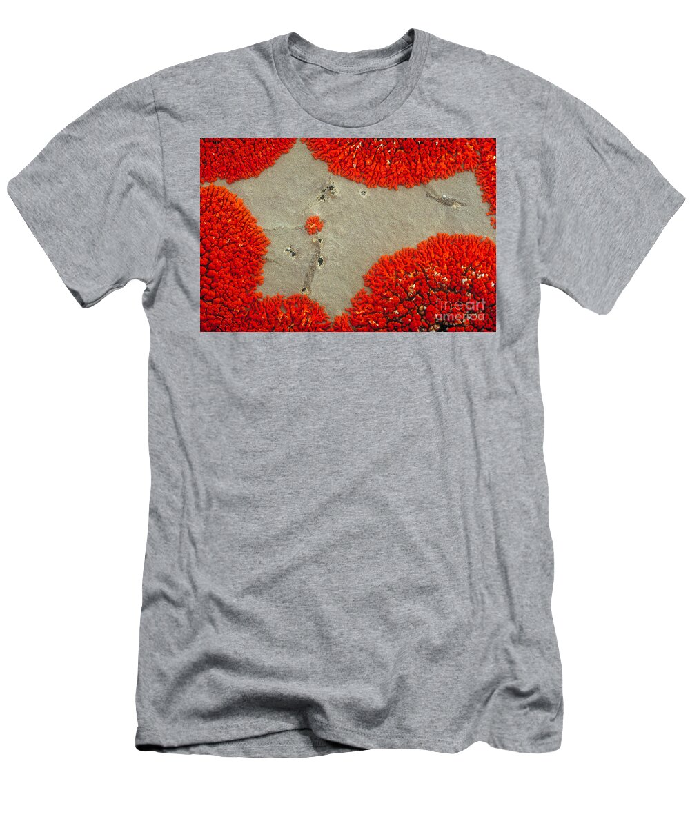 Lichen T-Shirt featuring the photograph Lichen Patterns On Rock by Art Wolfe