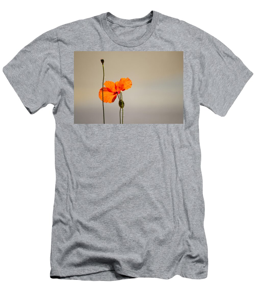 Poppy T-Shirt featuring the photograph Life by Spikey Mouse Photography