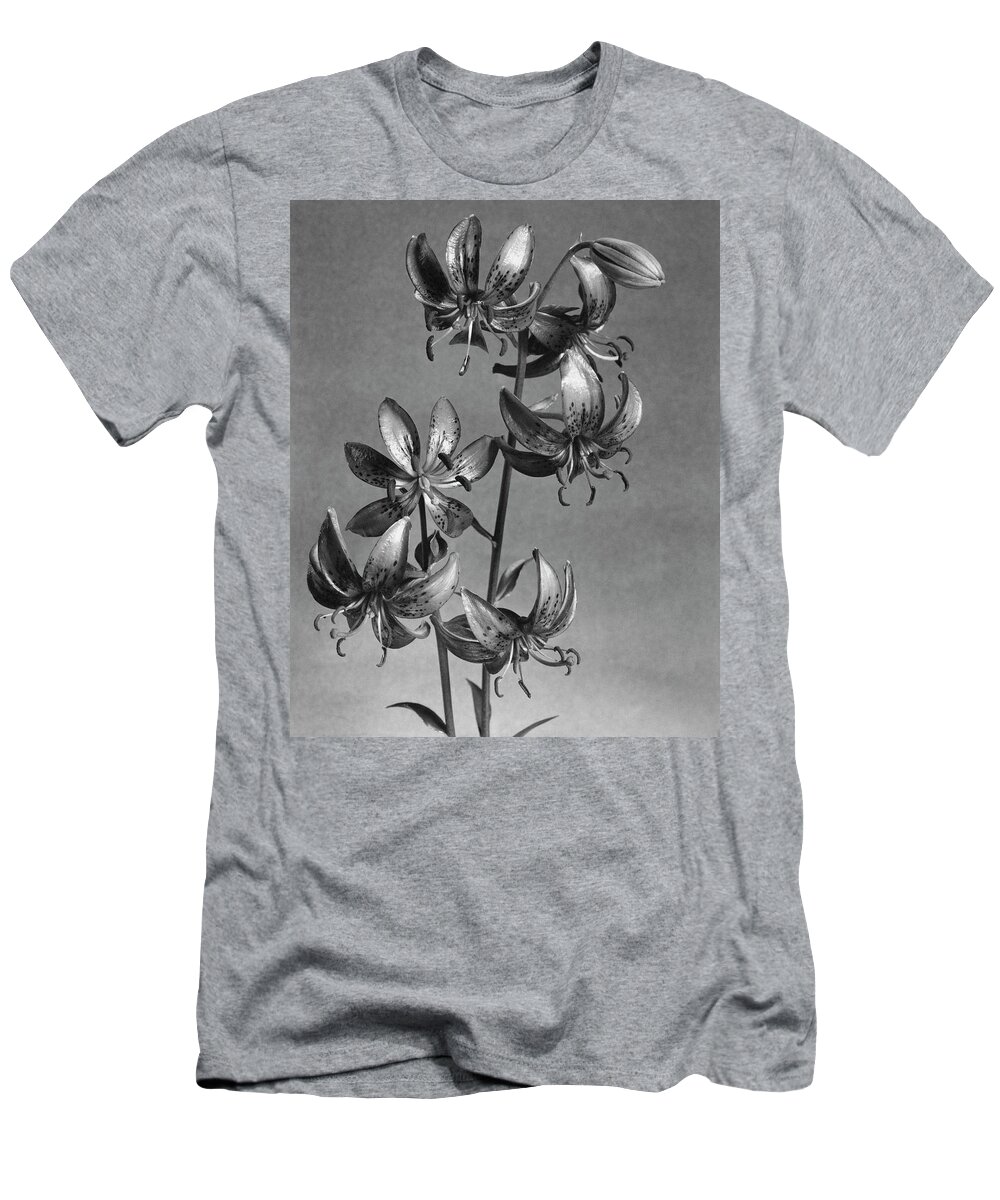 Flowers T-Shirt featuring the photograph Lilium Hansonii by J. Horace McFarland