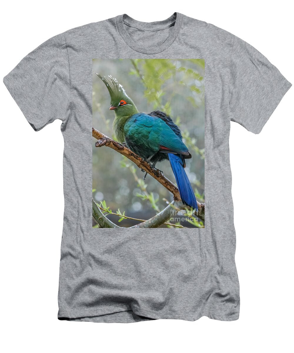 Al Andersen T-Shirt featuring the photograph Livingstone's Turaco by Al Andersen