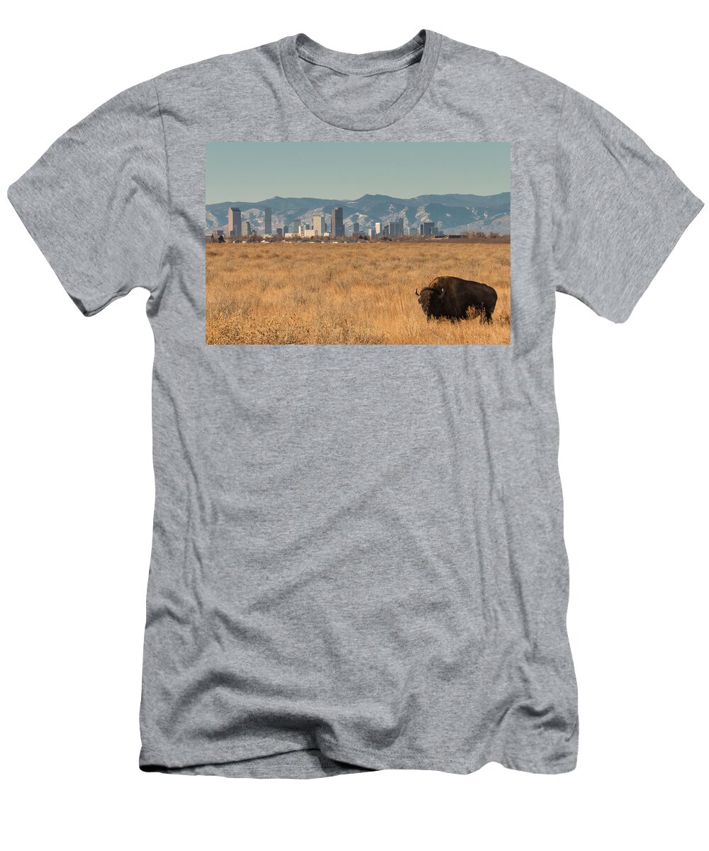 Denver T-Shirt featuring the photograph Lone Bison in Front of the Denver Skyline by Tony Hake