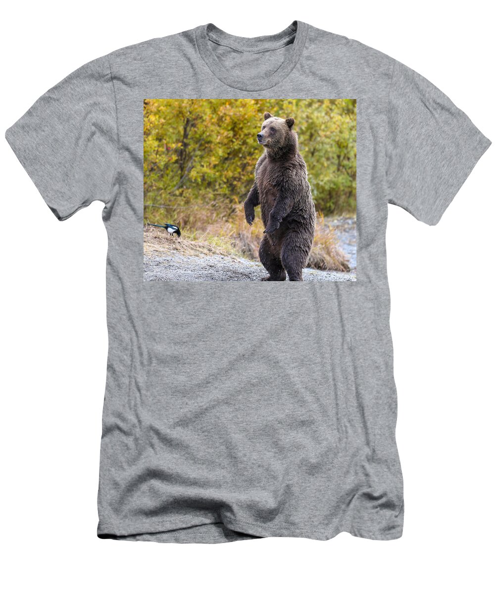 Bear T-Shirt featuring the photograph Looking For Trouble by Kevin Dietrich