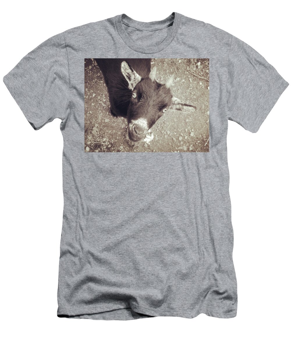 Goat T-Shirt featuring the photograph Looking up by Zinvolle Art