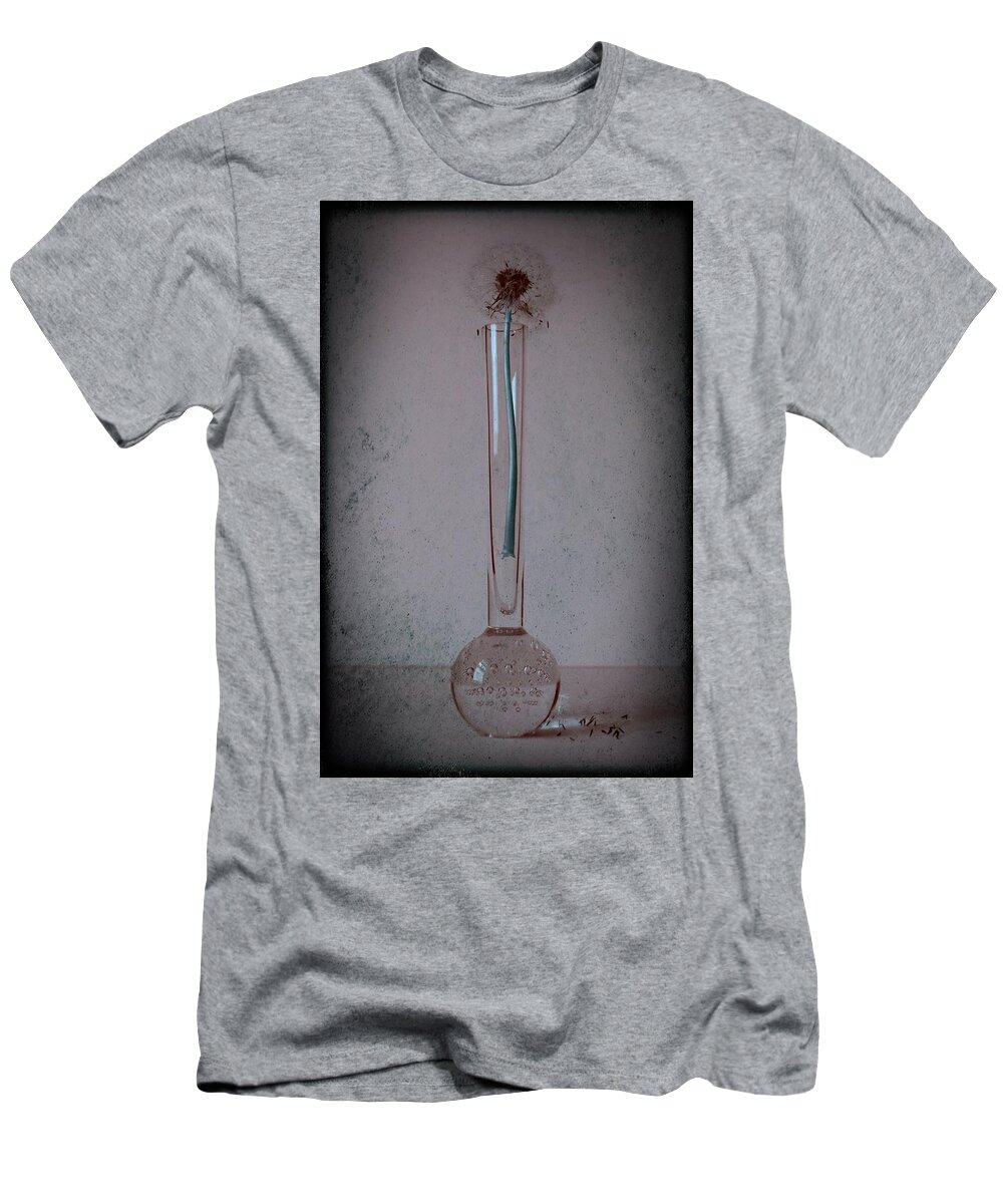 Dandelion T-Shirt featuring the photograph Fallen Wishes by Marianna Mills