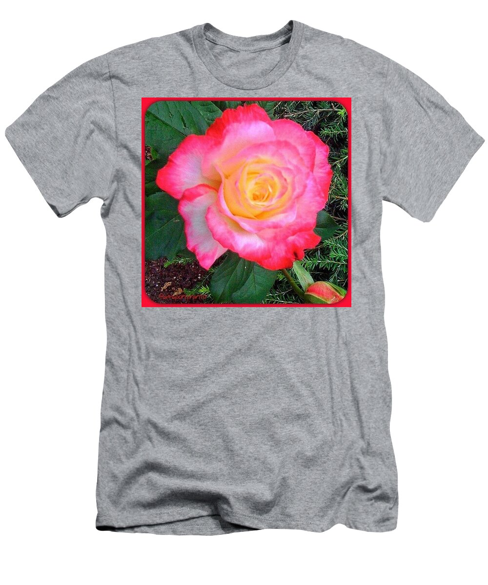 Instanaturelover T-Shirt featuring the photograph Love's First Blush - A Little Red And by Anna Porter