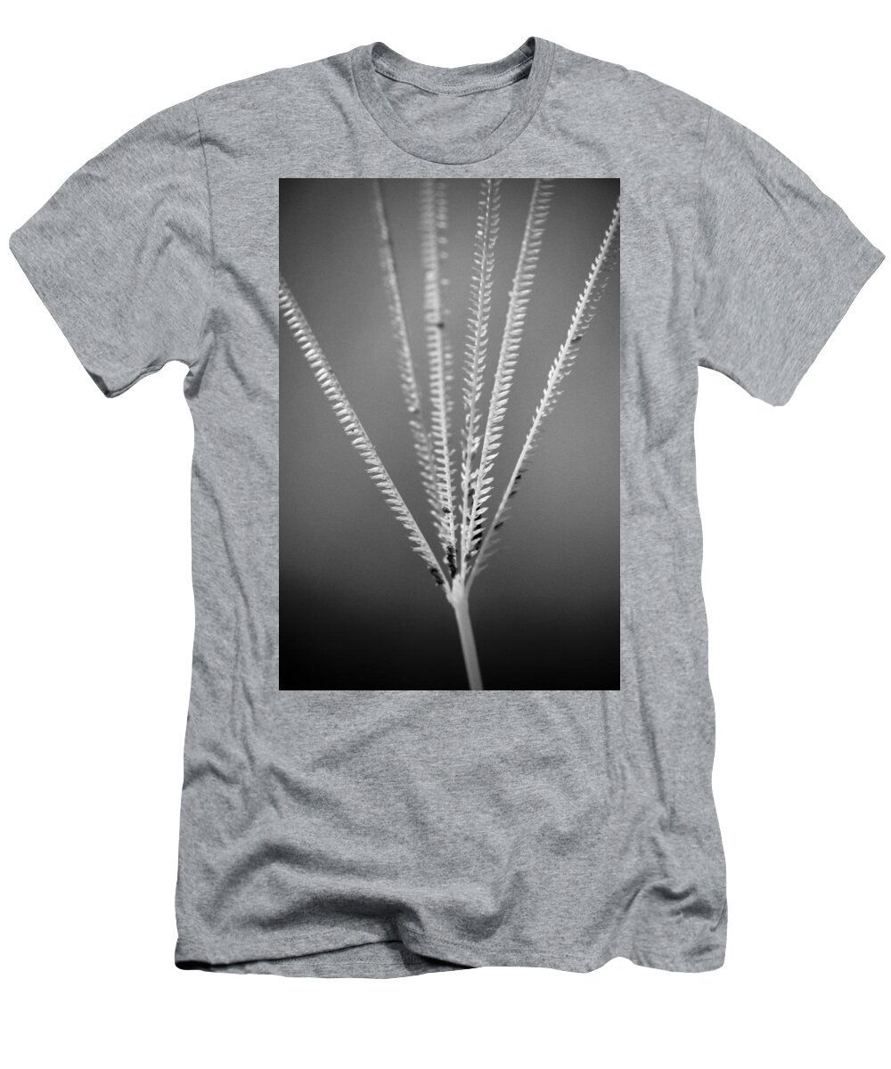 Florida T-Shirt featuring the photograph Loxahatchee Grass by Bradley R Youngberg