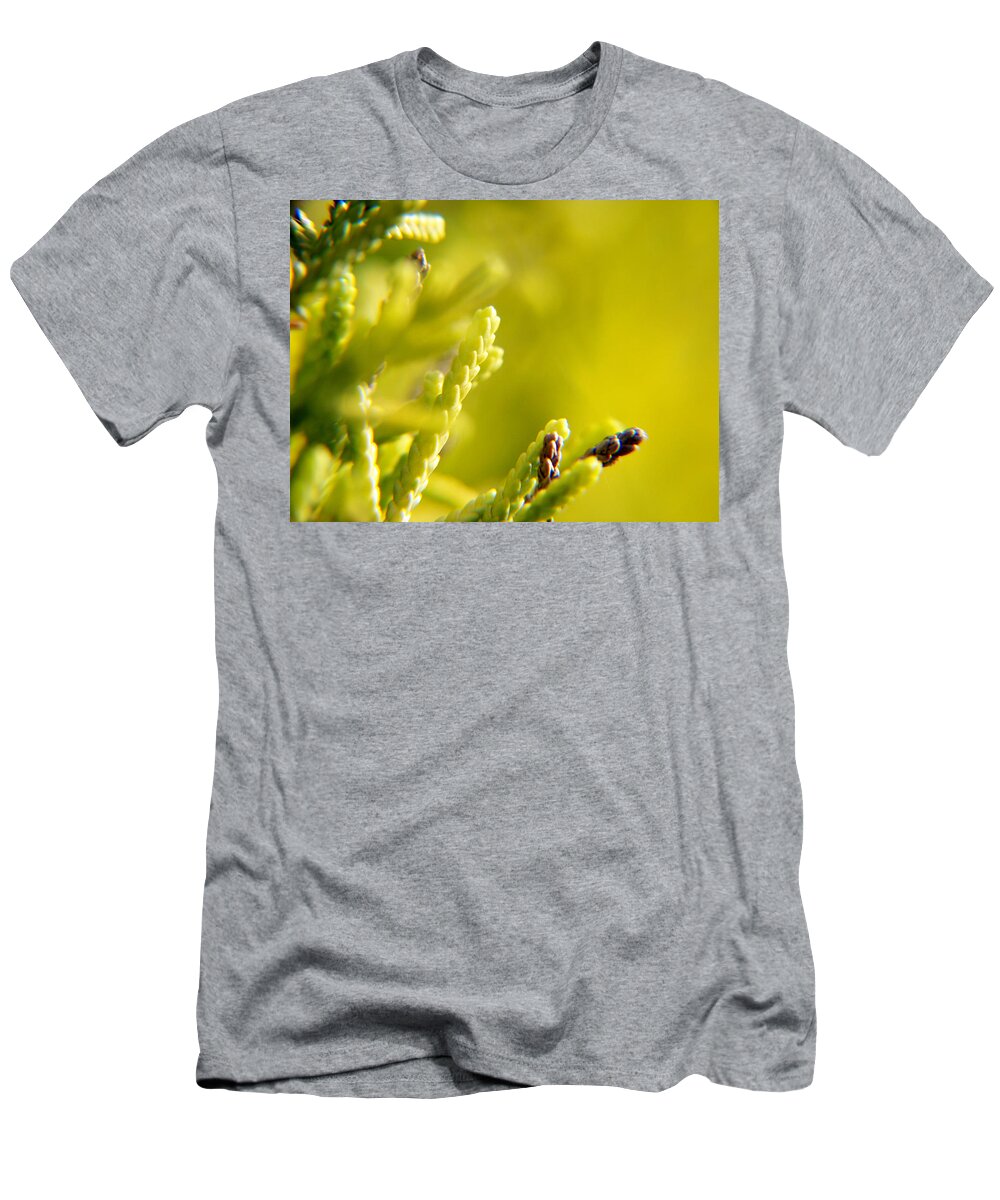  T-Shirt featuring the photograph Lwv10022 by Lee Winter