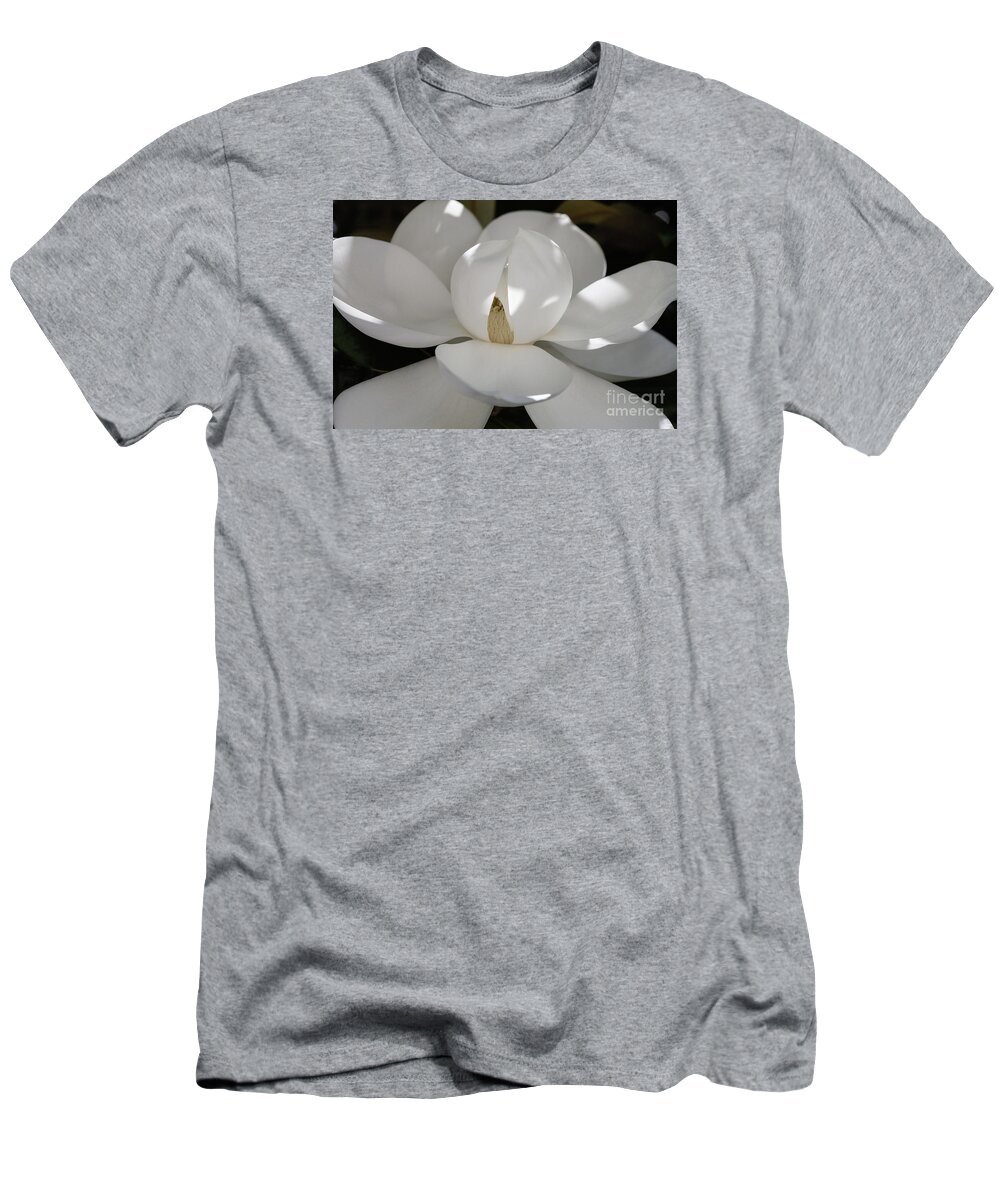 Magnolia Grandiflora T-Shirt featuring the photograph Magnolia Beauty - 3 by Diane Macdonald