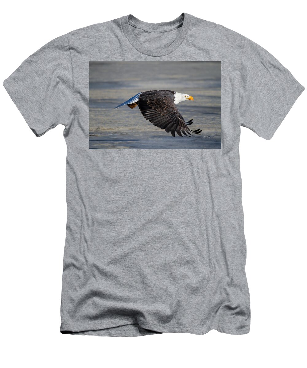 Bald.male T-Shirt featuring the photograph Male wild bald eagle ready to land by Eti Reid