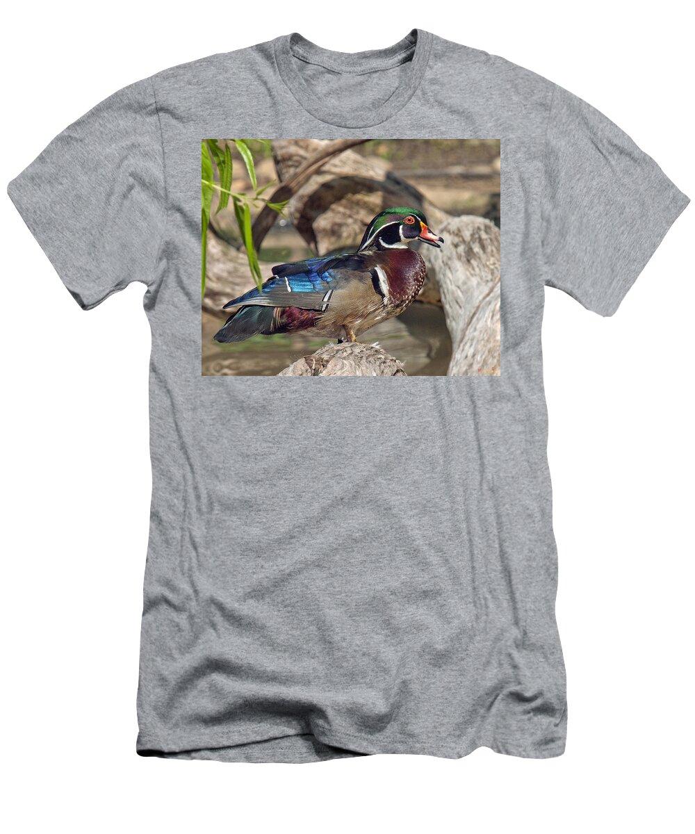 Marsh T-Shirt featuring the photograph Male Wood Duck DWF029 by Gerry Gantt