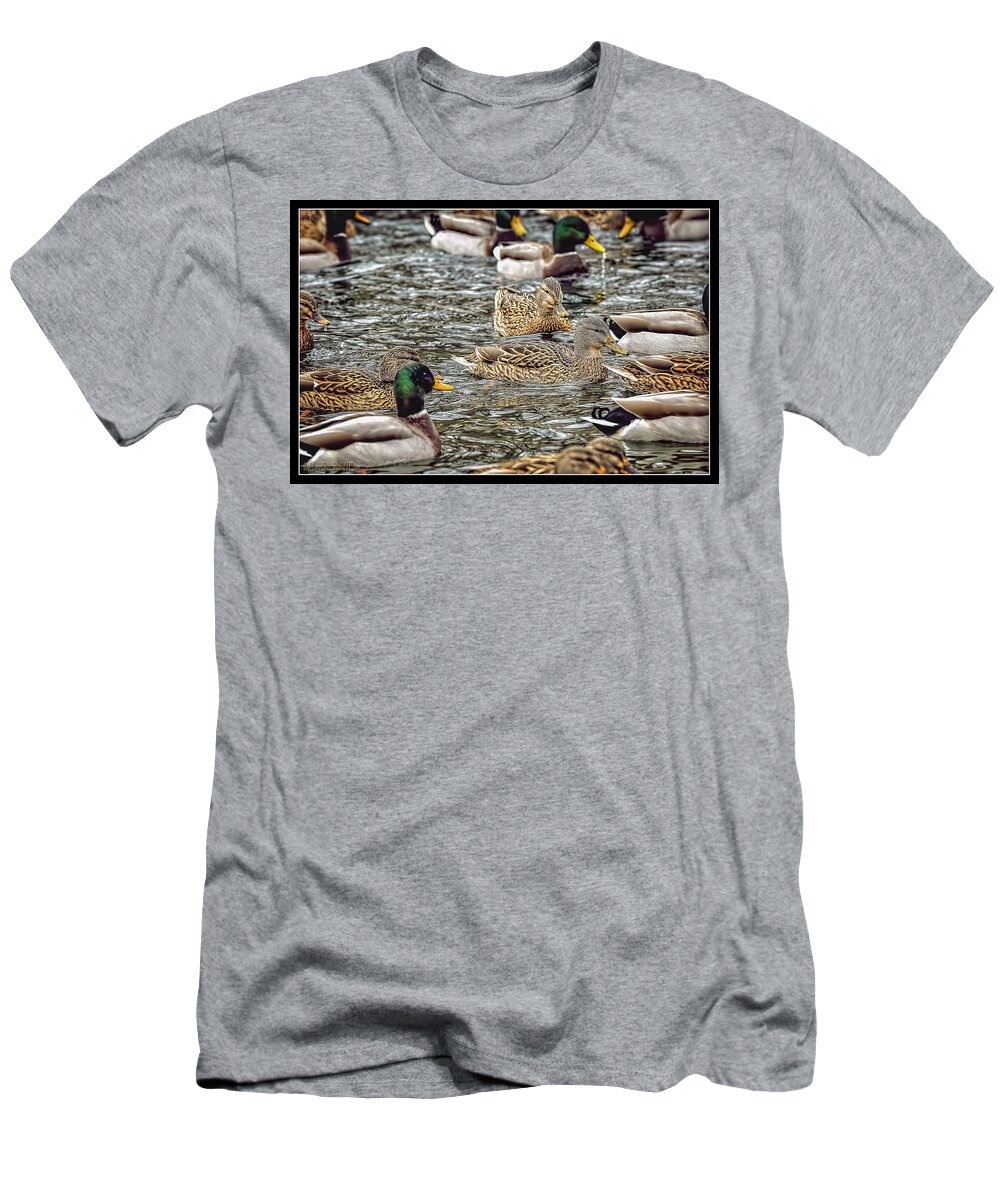 Mallard T-Shirt featuring the photograph Mallard Duck Pond by LeeAnn McLaneGoetz McLaneGoetzStudioLLCcom