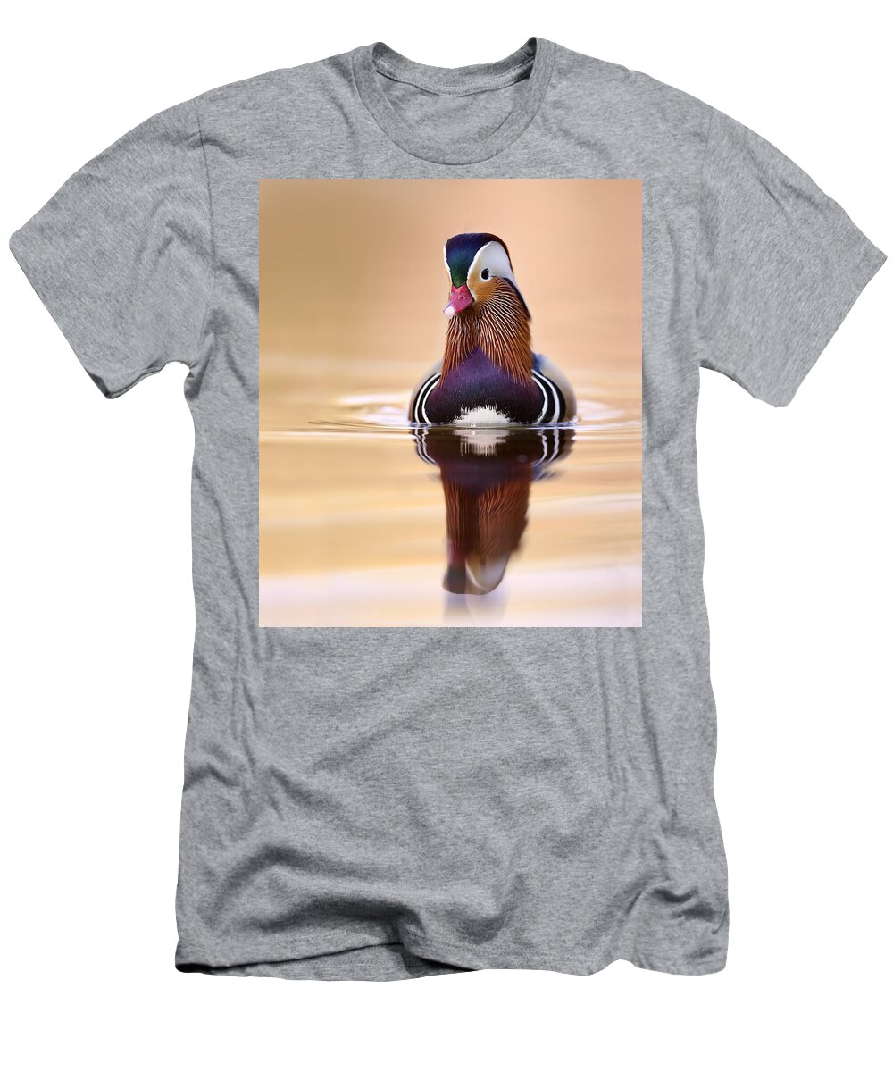 Stefano Ronchi T-Shirt featuring the photograph Mandarin Duck Drake Italy by Stefano Ronchi
