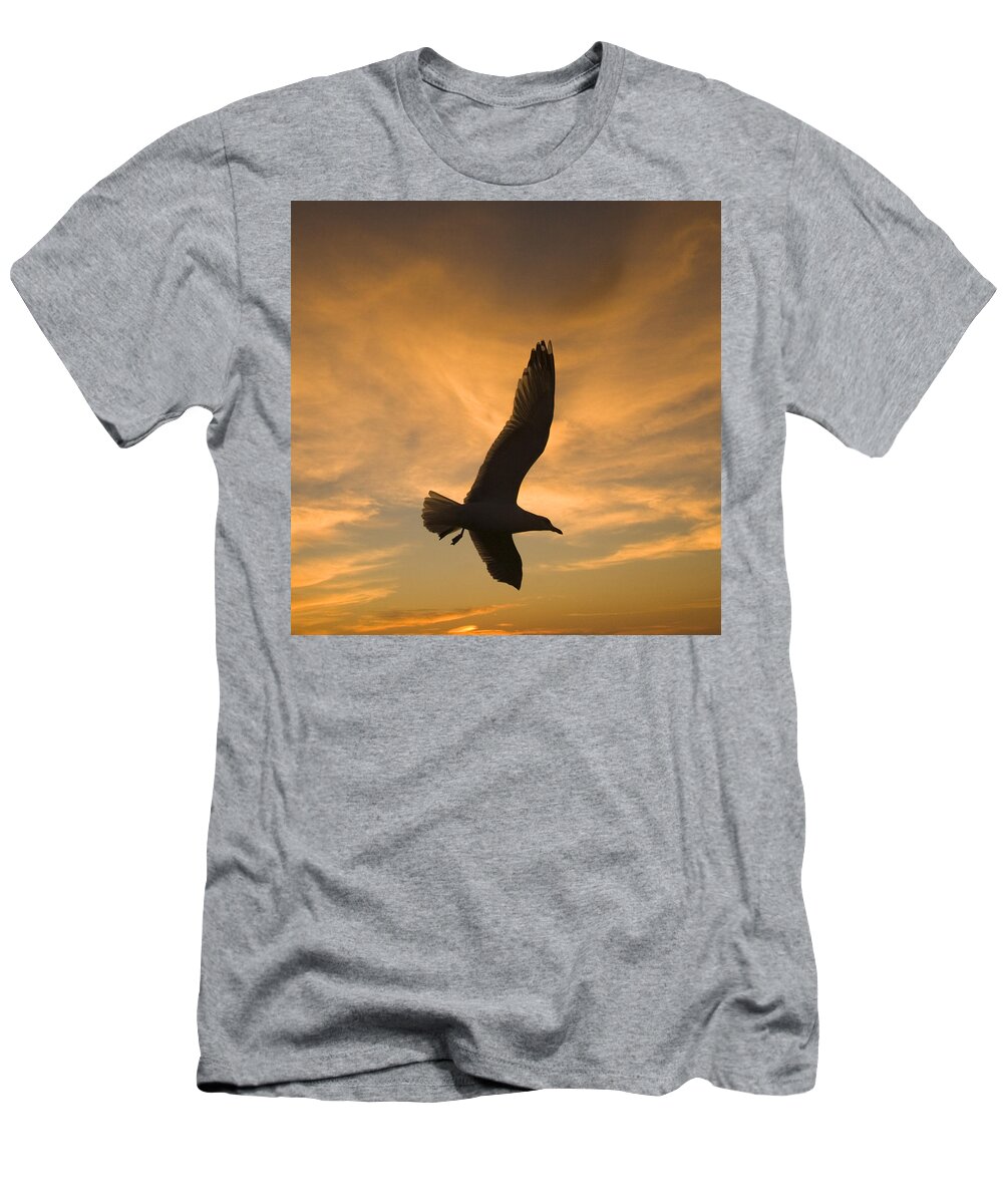 Feb0514 T-Shirt featuring the photograph Mew Gull At Sunset La Jolla California by Tom Vezo